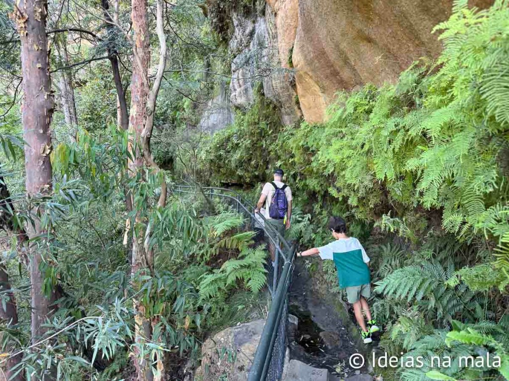 como é a Trilha Wentworth Falls em Blue Mountains