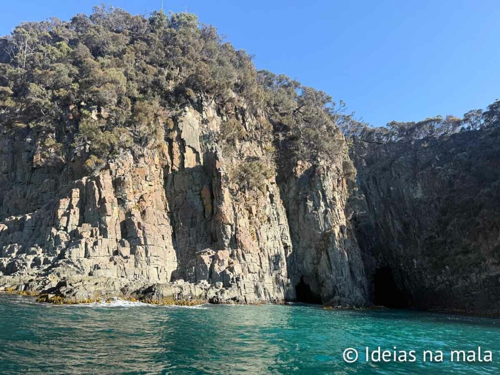 bate e volta a bruny island na tasmania