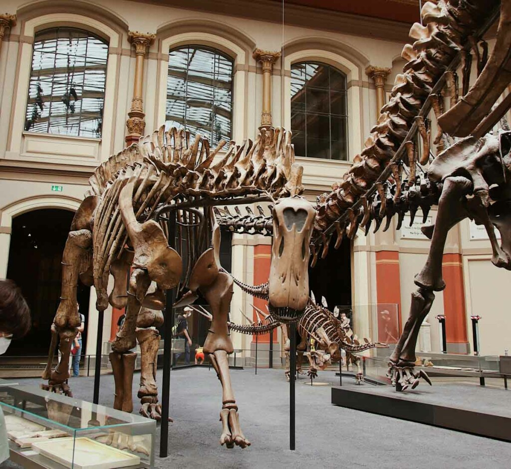 quais museus visitar com crianças em Berlim