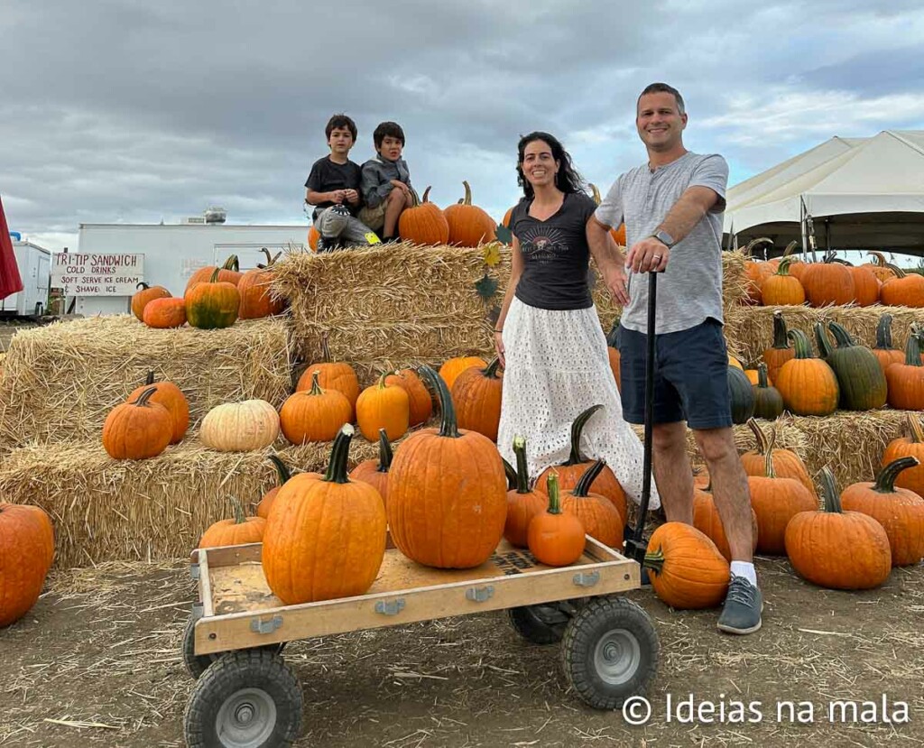 fazenda de aboboras na california pra curtir o halloween