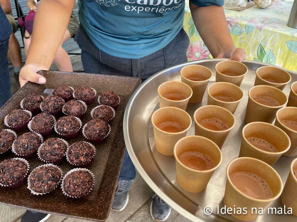 experiencia do chocolate na ilha do combu em belem do para