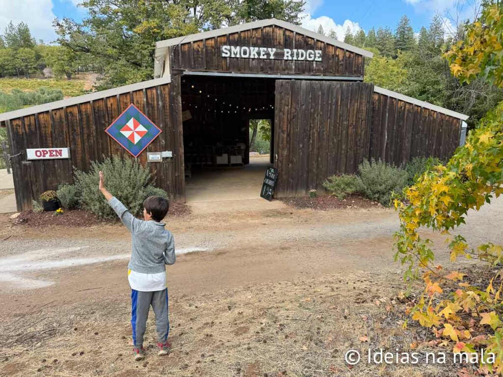 fazenda de colheita de maçã na california