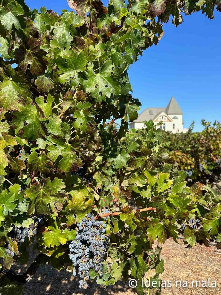 vinicolas perto de San Francisco