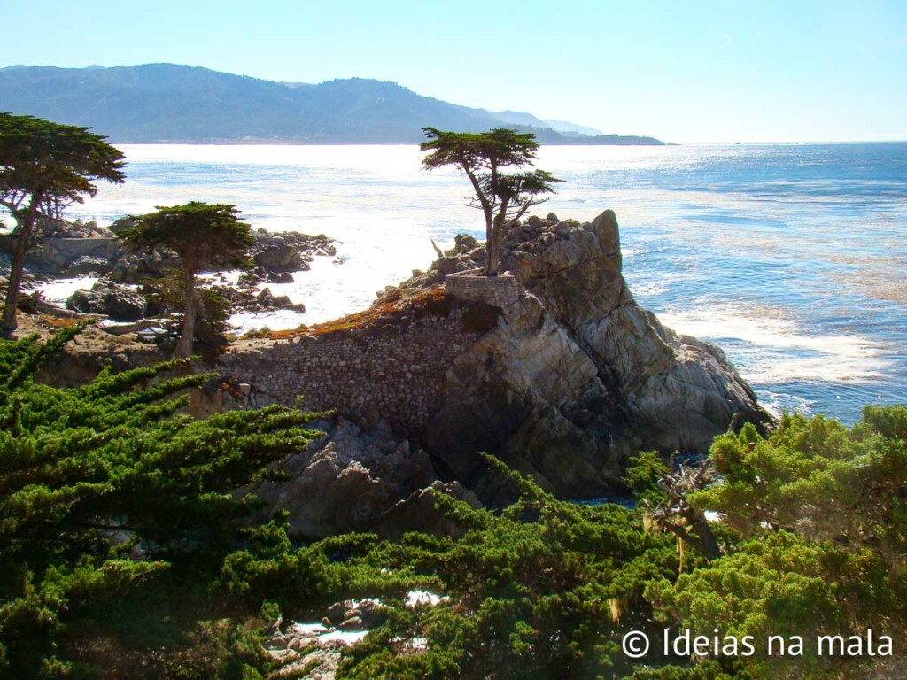 Cipreste Solitário na 17 Mile Drive em Carmel