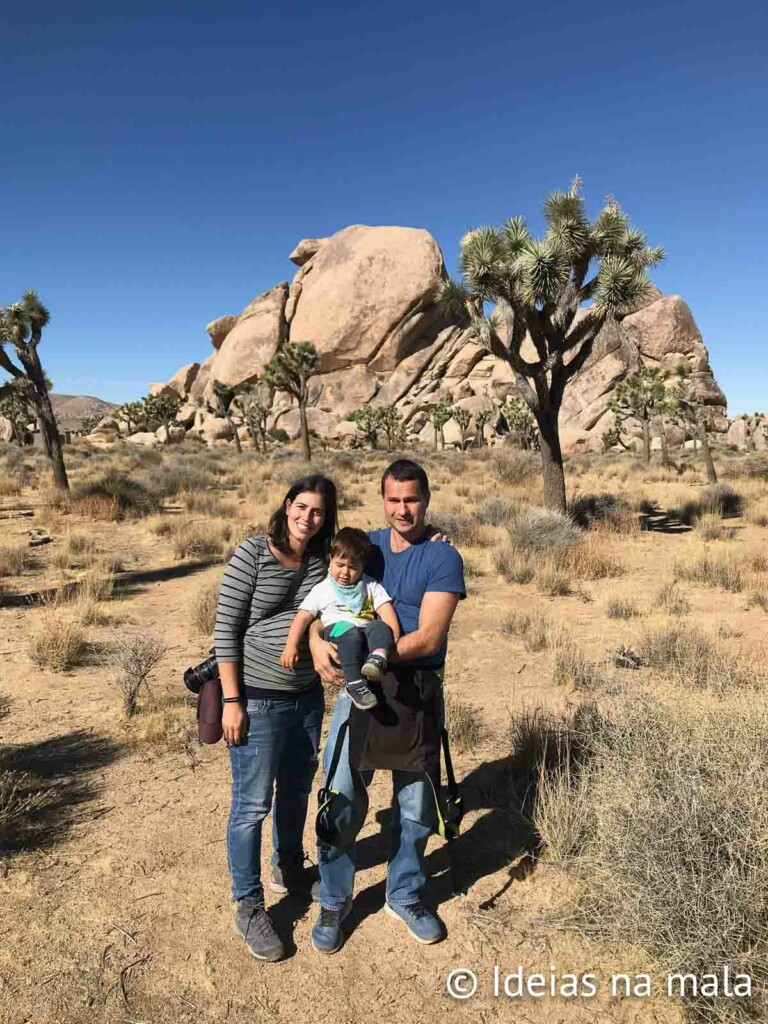 como é o Joshua Tree em novembro