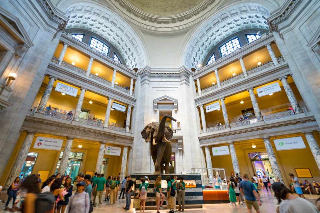 Smithsonian Natural History Museum em Washington DC