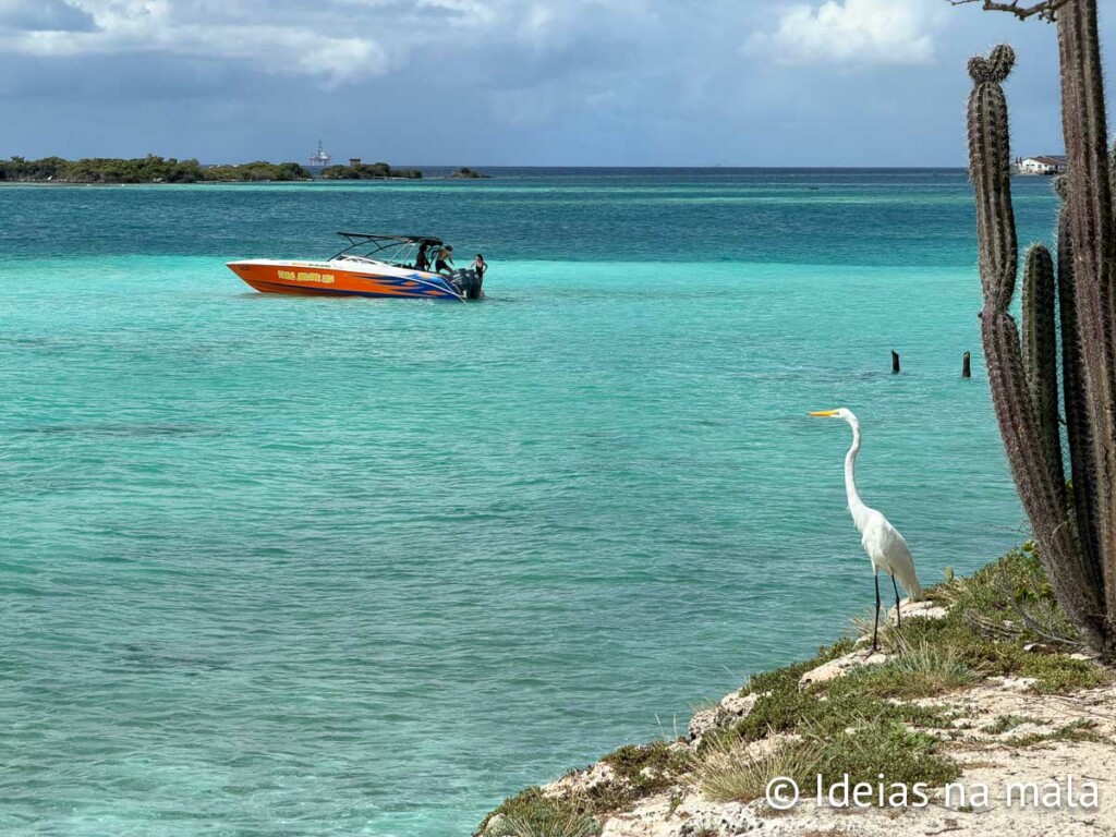 Pos Chiquito Beach em Aruba