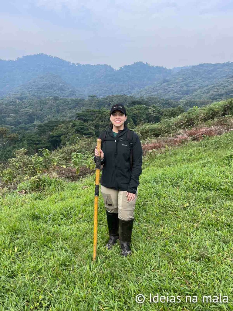 como é o trekking dos gorilas em uganda