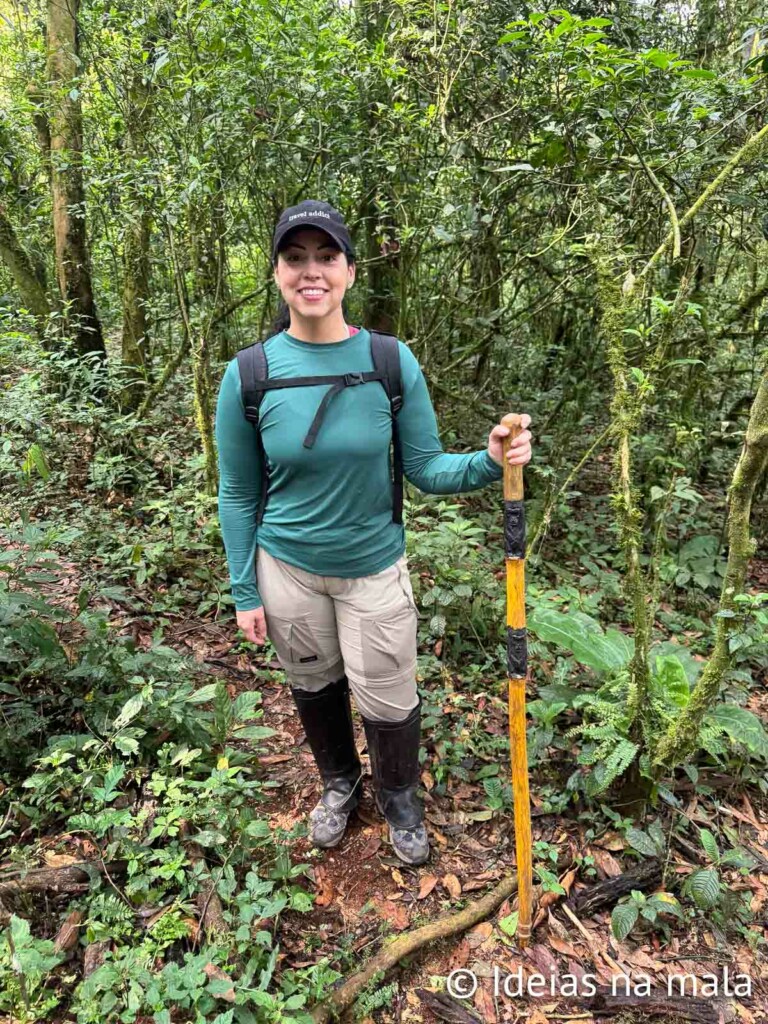 como é o encontro com os gorilas em uganda