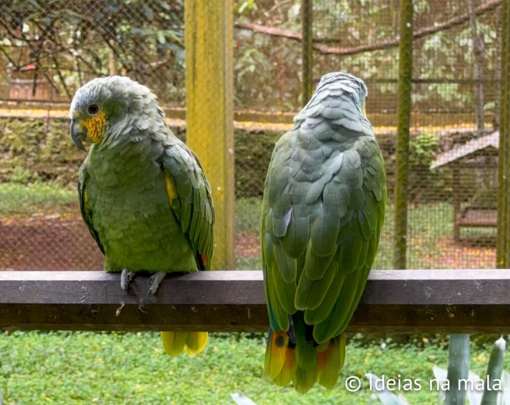 Museu de Biologia Prof. Mello Leitão em Santa Teresa no espirito Santo