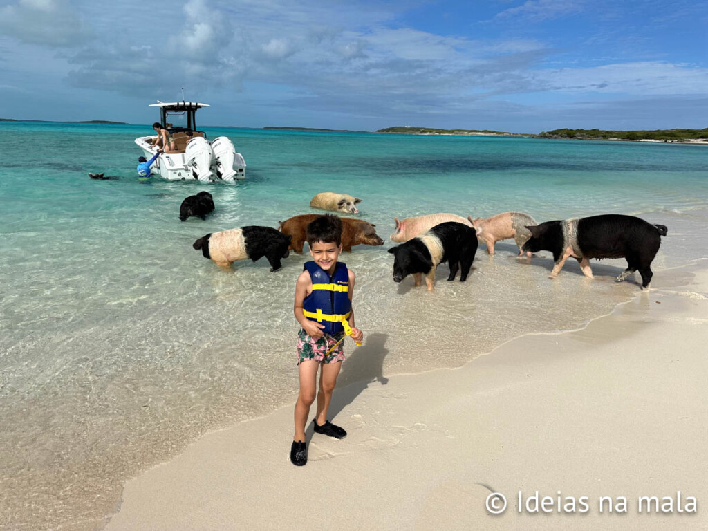 Pig Beach em exuma bahamas praia dos porcos