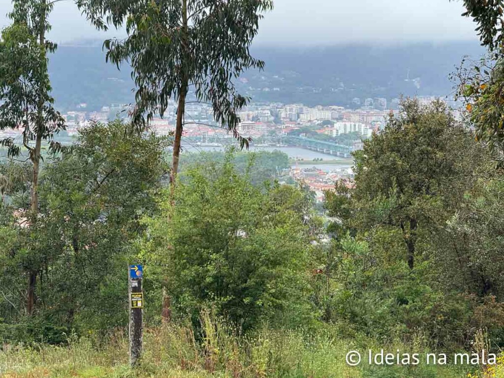 Viana do Castelo visto de Anha