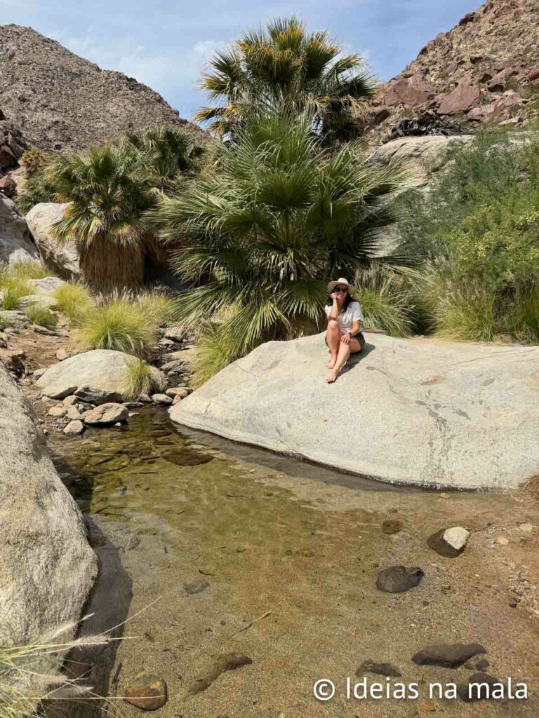 melhor época pra ir no Anza-Borrego Desert State Park