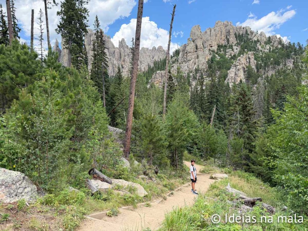 Black Needles no Custer State Park em South Dakota