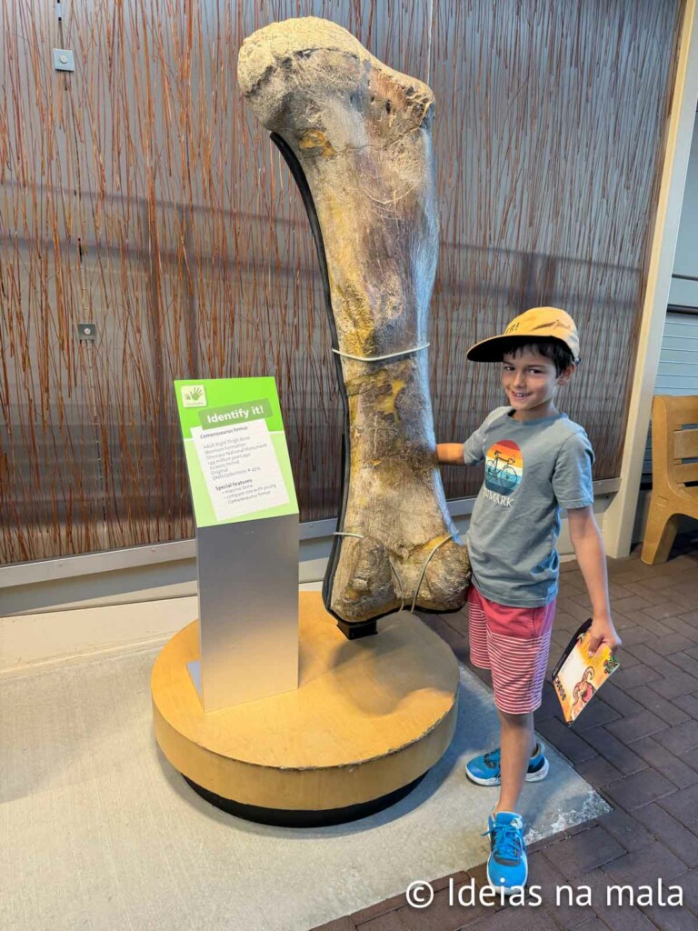 Visita ao Dinosaur National Monument em Utah