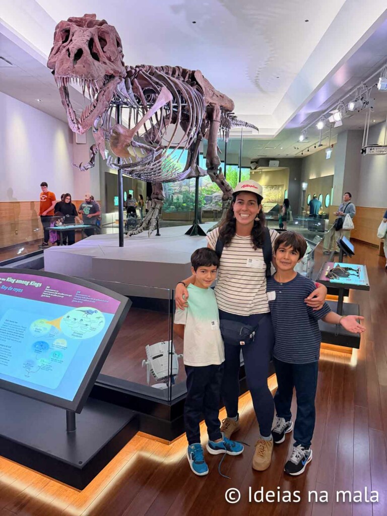 T-Rex Sue - Field Museum