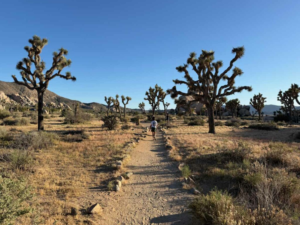 que fazer no Joshua Tree National Park