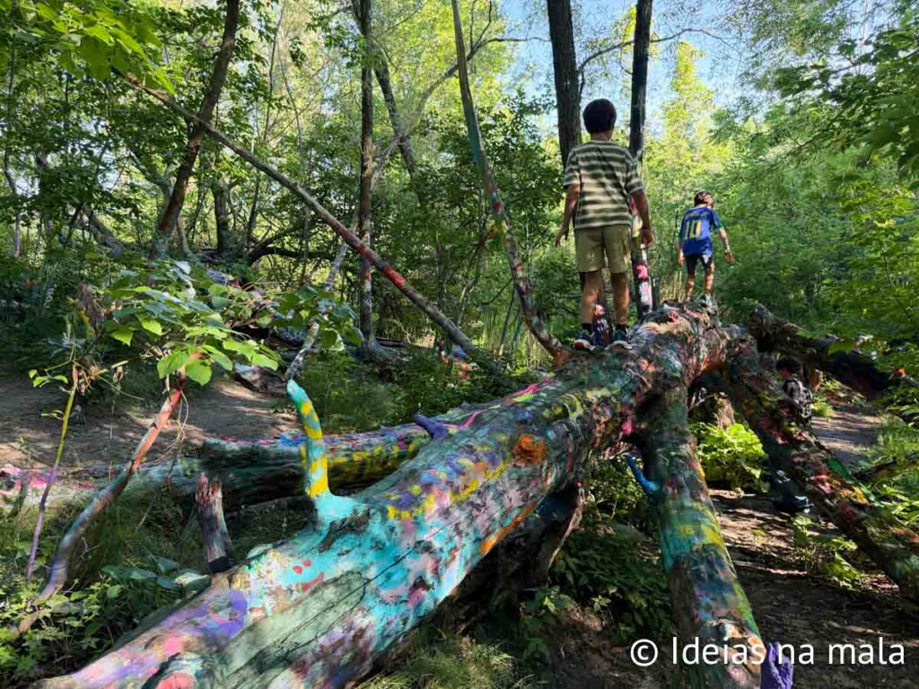 Hippie Tree em o que fazer em Traverse City