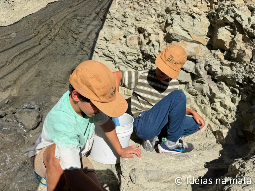 Escavando fósseis de dinossauros em Thermopolis Wyoming
