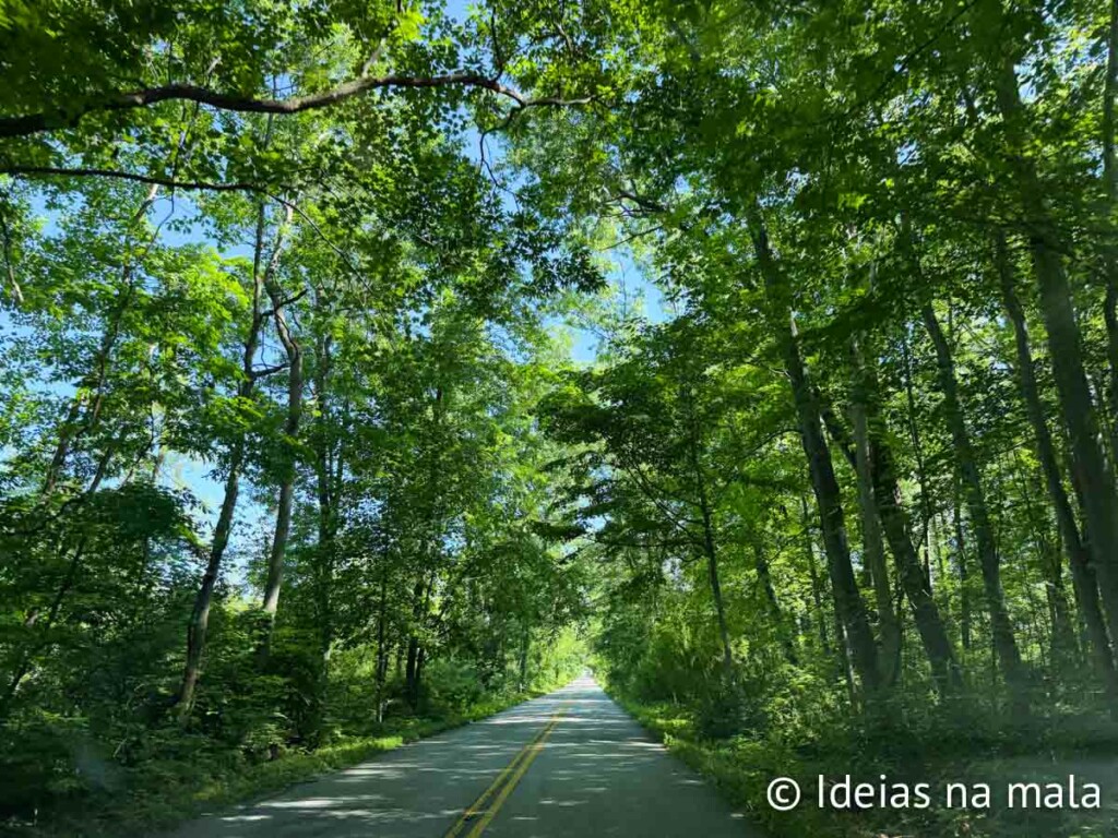 Indiana Dunes National Park e a estrada verde belísima